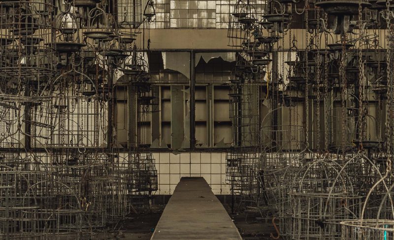 Weisskaue Drahtkörbe