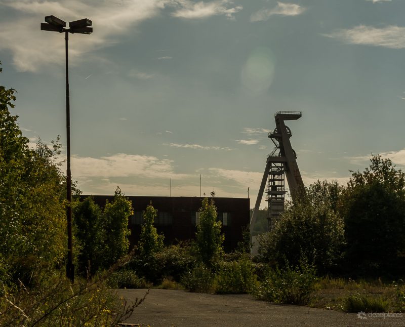 Weisskaue Drahtkörbe