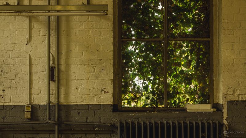 e19dfa34310e54072b3f58a00ef878bb